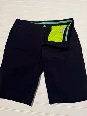 Alberto Earnie Golf Shorts Men's Size 34 (EU 50) Technical Performance